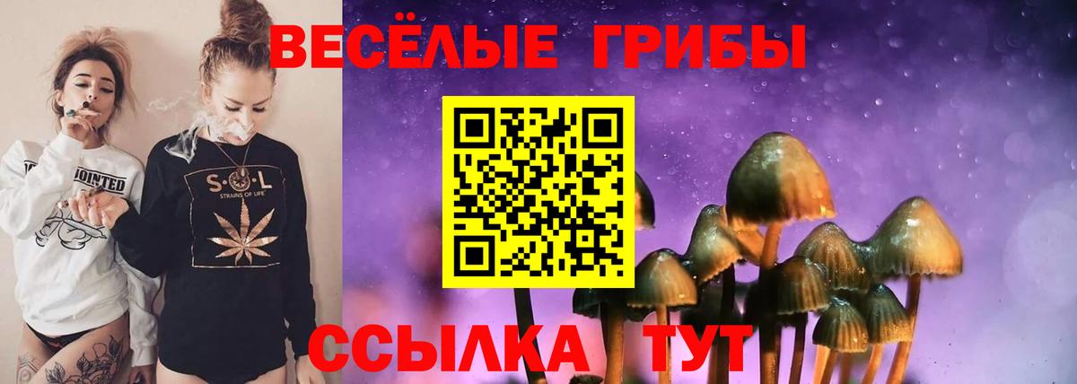 Приморско-Ахтарск  Псилоцибиновые грибы мухоморы  Вход с VPN 