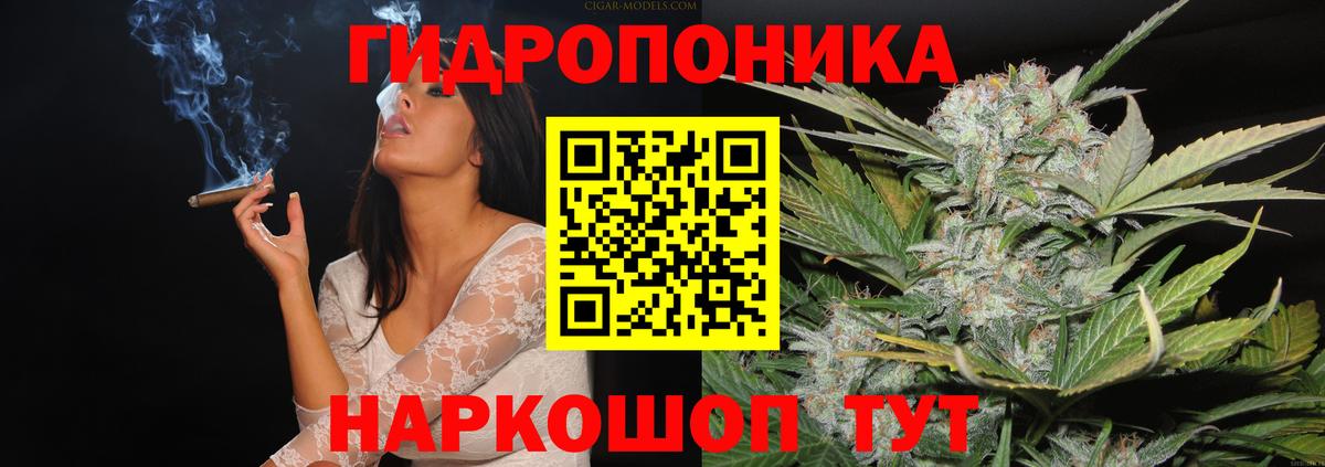 Каннабис индика Приморско-Ахтарск